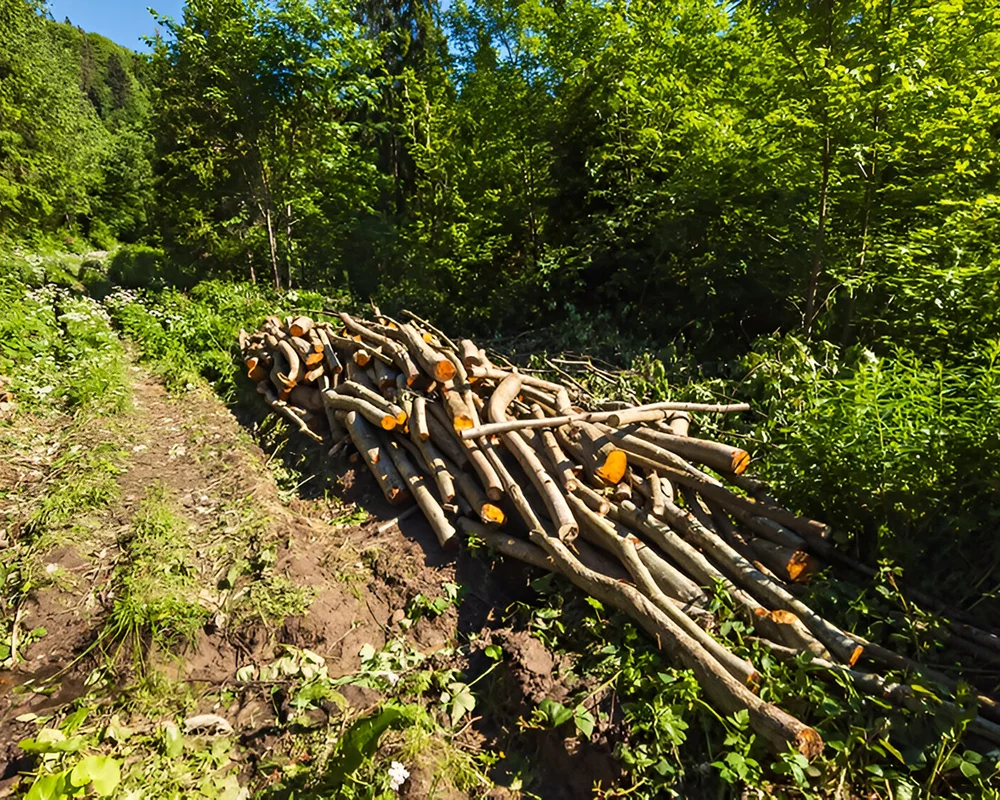 Les Scieurs De Louest Ventes Bois D Oeuvre A Quimper Adapte A Tout Terrain