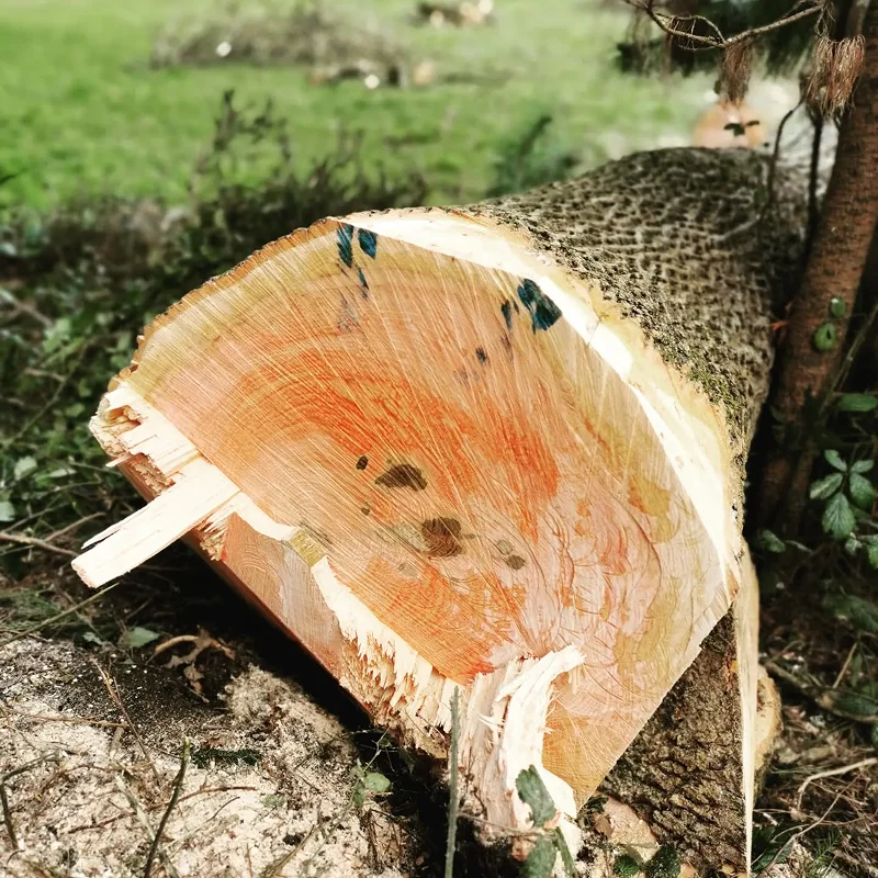 Les Scieurs De Louest Ventes Bois D Oeuvre A Quimper Realisation 11